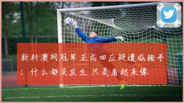 新科澳网冠军正式回应疑遭咸猪手：什么都没发生 只是看起来像