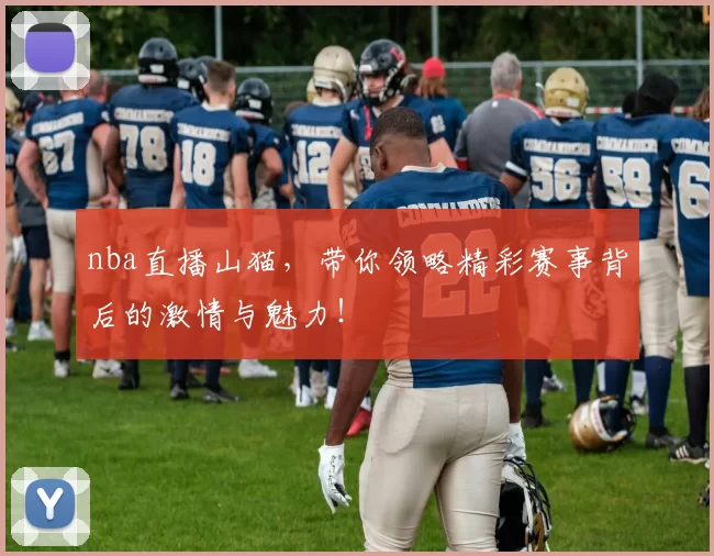 nba直播山猫，带你领略精彩赛事背后的激情与魅力！