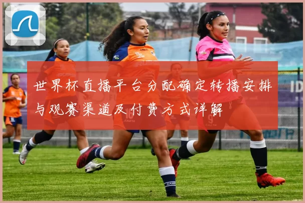 世界杯直播平台分配确定转播安排与观赛渠道及付费方式详解