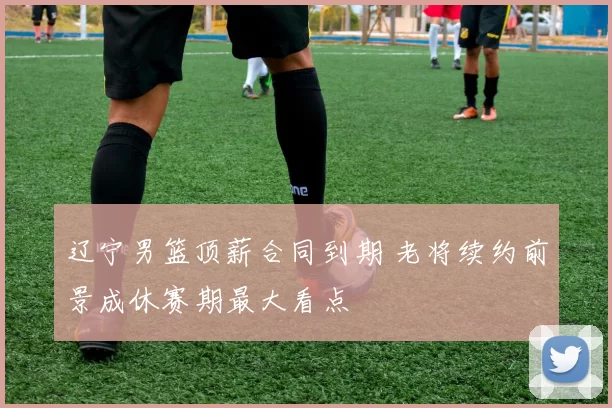 辽宁男篮顶薪合同到期 老将续约前景成休赛期最大看点