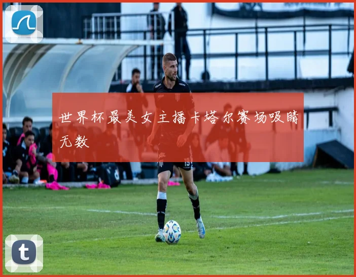 世界杯最美女主播卡塔尔赛场吸睛无数