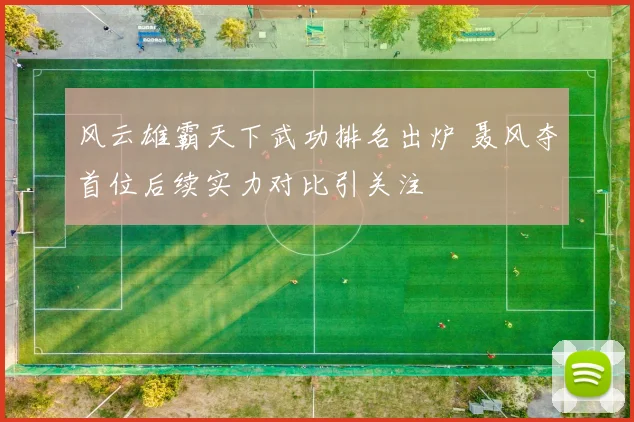 风云雄霸天下武功排名出炉 聂风夺首位后续实力对比引关注
