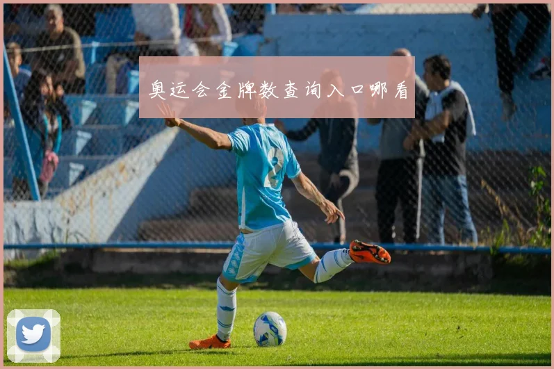 奥运会金牌数查询入口哪看